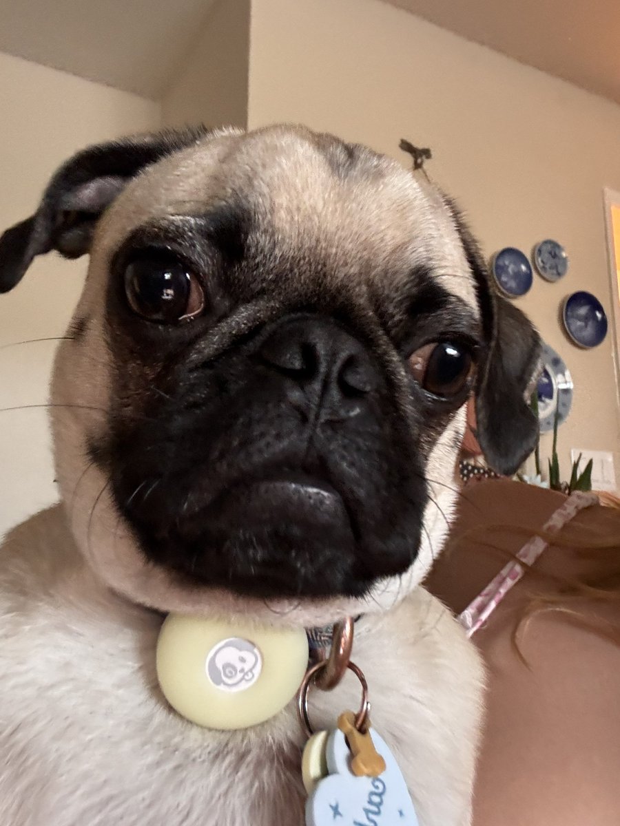 turtleteebz's tweet photo. carl post cuz i miss him :( https://t.co/IjjMnrgeAn