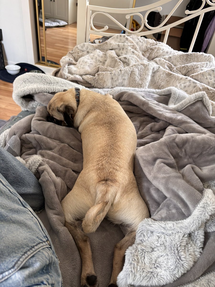 turtleteebz's tweet photo. carl post cuz i miss him :( https://t.co/IjjMnrgeAn