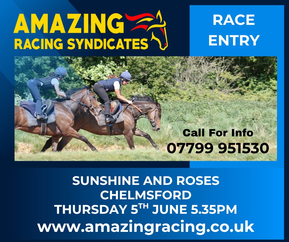 AMAZING RACING SYNDICATES tweet media