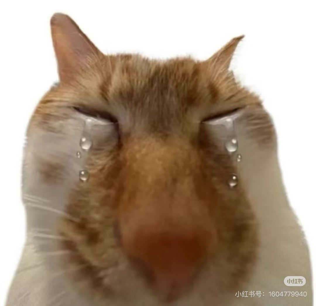 三万媿夜 tweet media