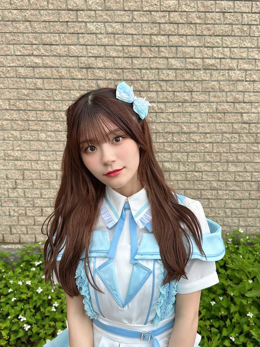 柏崎かしわページ かしわざき風の陣 - Search / X