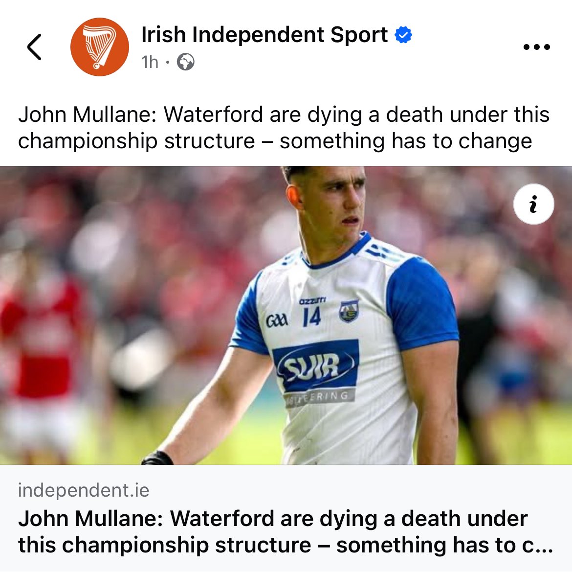 David Connors tweet media