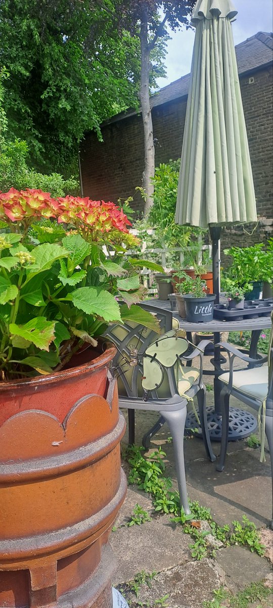 A morning of SmoothFM, gardening and then Hanz Zimmer music thingee at Chester Cathedral.  It's all gravy today