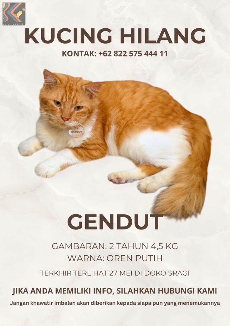 Cah mbok menowo ono sing ngerti kucing jantan iki nde sekitaran kediri ntah kota/kabupaten atau nde ndi wae, tulung aku di info yaa.
Tulung yaa cah aku nangis terus kepikiran kucingku 😭😭