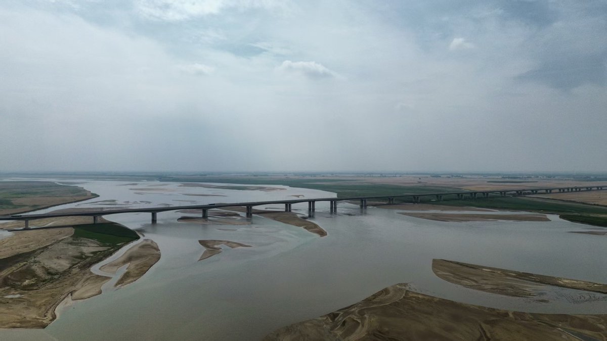 Mingy Guo tweet media