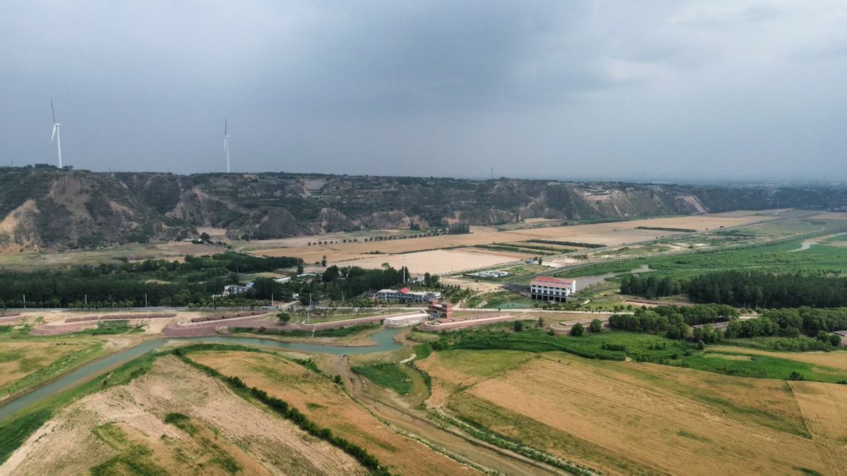 Mingy Guo tweet media