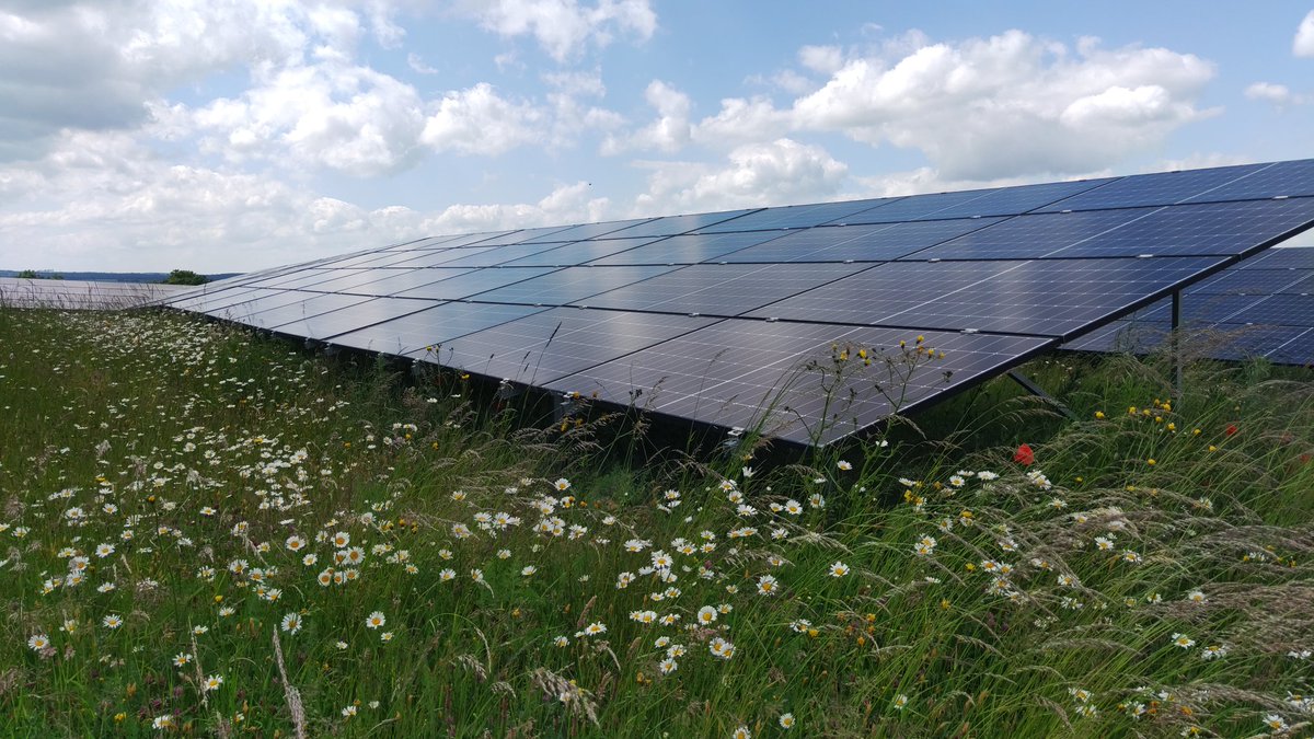 Aktuelle Bilder aus unserem Bürgersolarpark. ☀️