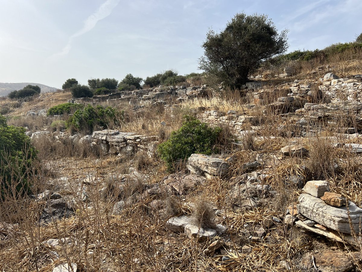thorikos's tweet photo. We have just made sure that the so-called Industrial Quarter at Thorikos will be cleared from vegetation so as to limit the dangers of wildfires https://t.co/qf9SJw2FKV