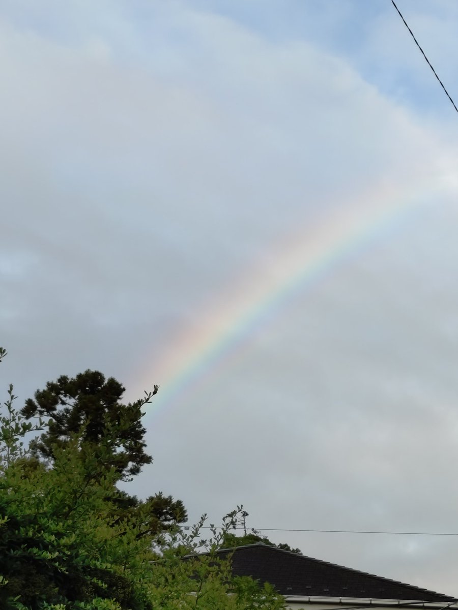 crystal_feather's tweet photo. 何年振りに見たかしら？

雨上がりの宝物🌈 https://t.co/hCP2TvduUe
