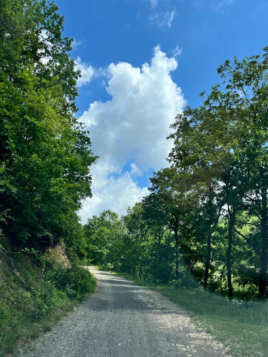 Hande Hakan tweet media