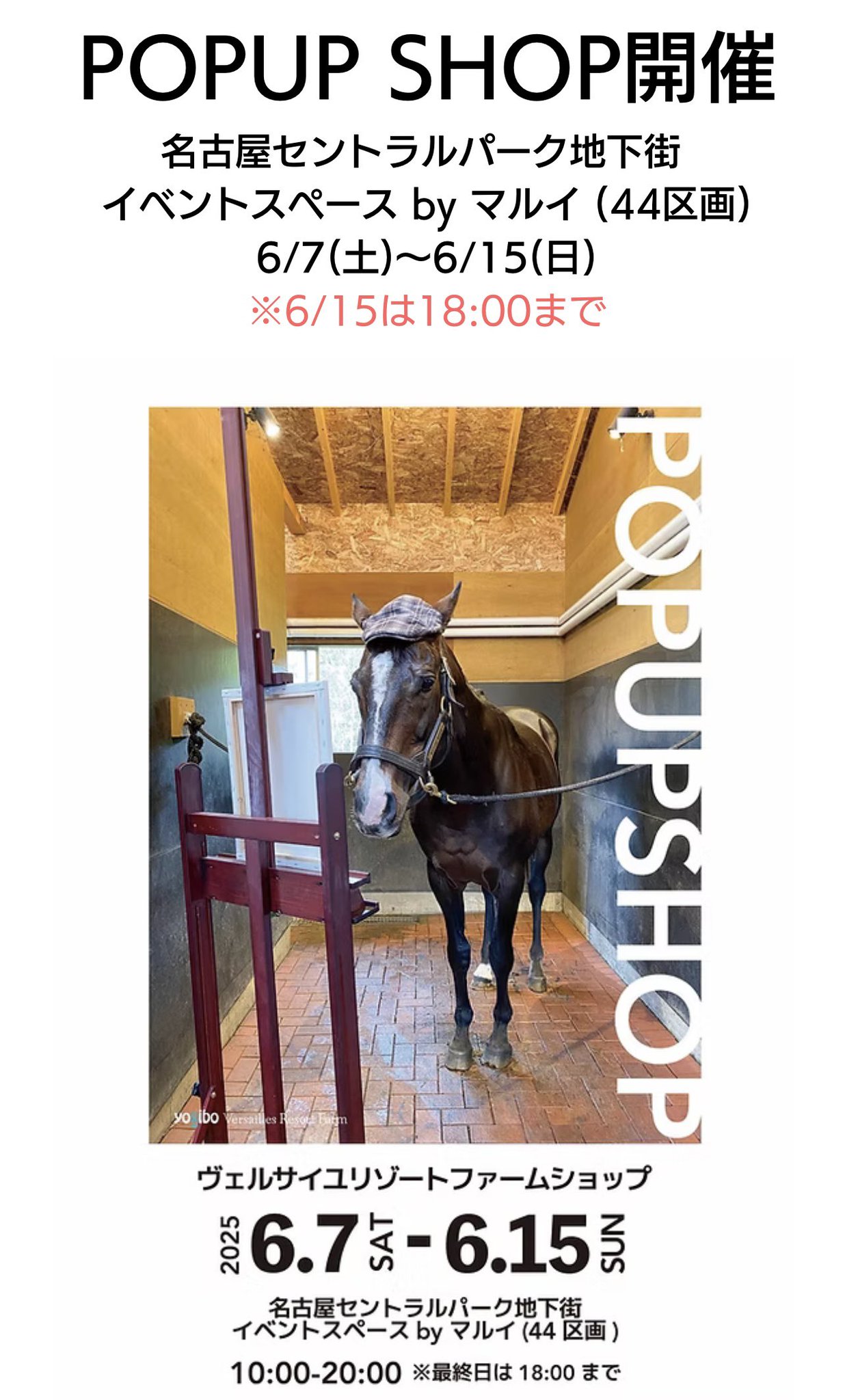 Yogibo カバー ✩ヴェルサイユリゾートファーム オリジナルデザイン