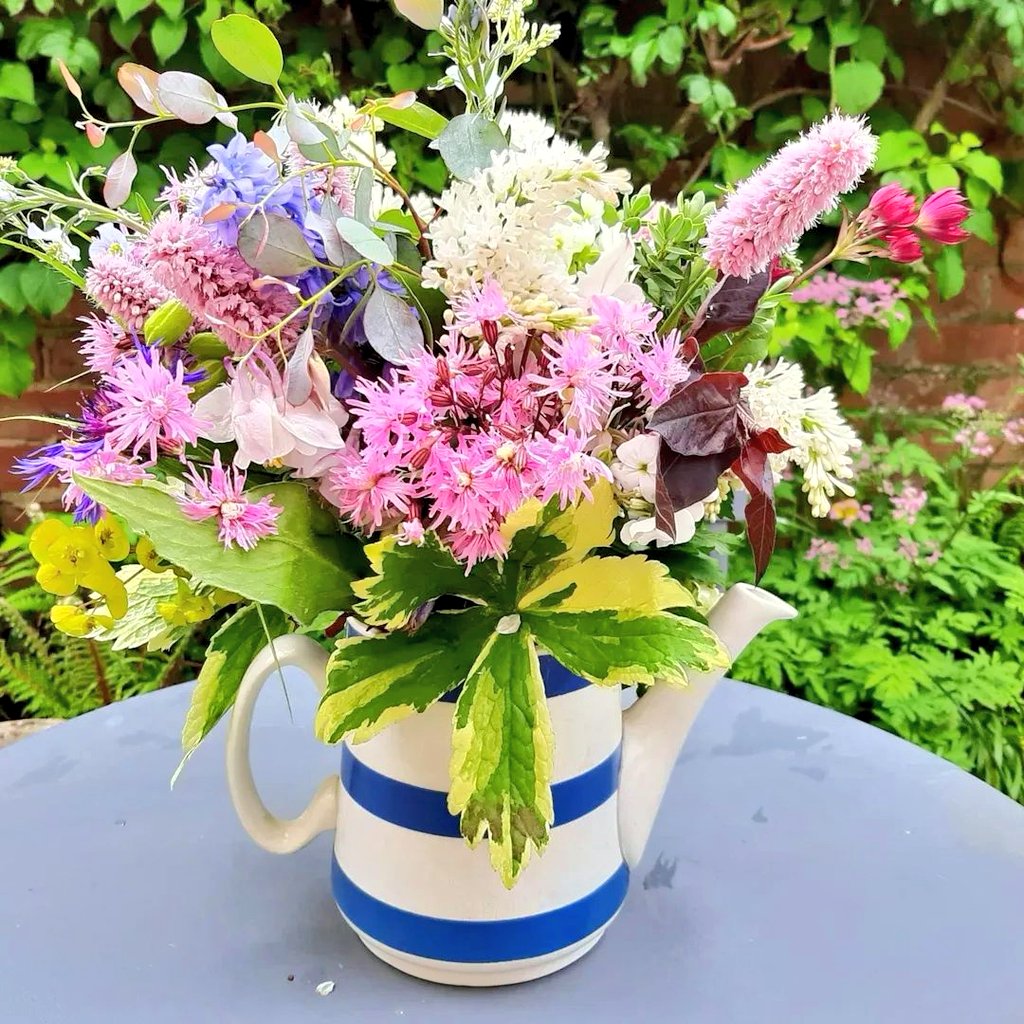 A  few garden gathered blooms for the weekend.  As May falls into June there are so many beautiful flowers to enjoy. Arranged here in one of my (many) blue and white jugs!

#flowers #weekend #gardengathered #seasonal #blooms #Derbyshire #garden #flowertalk #JonathanMoseley