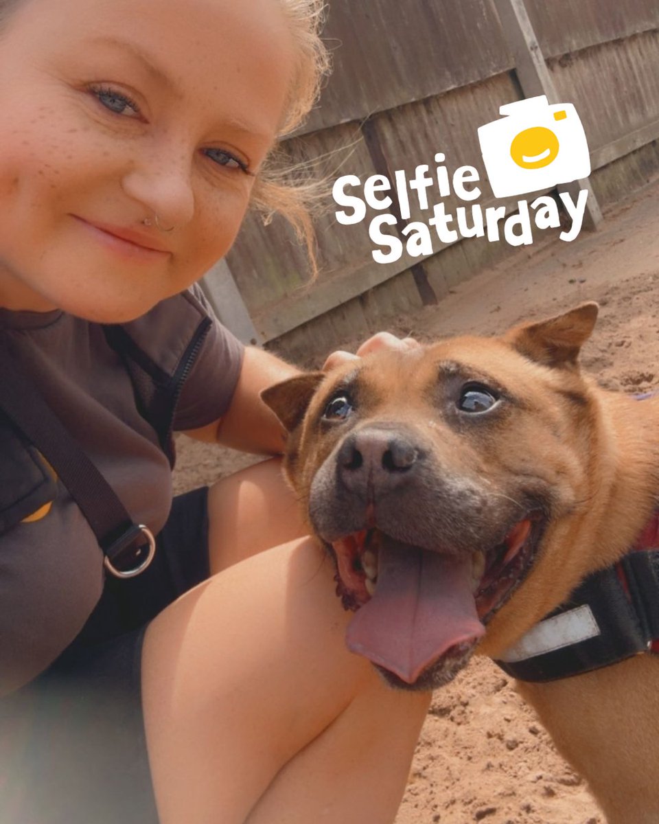 DT_Kenilworth's tweet photo. Paddy is signing off as #DogOfTheMonth with a #SelfieSaturday with his bestie, Rehab Trainer Lizzy! πΆπ
Lizzy has been helping Paddy overcome some of his worries and we're hoping it wont be long until his bags are packed and he's headed to his forever home! π‘ https://t.co/anyVFEyPmE
