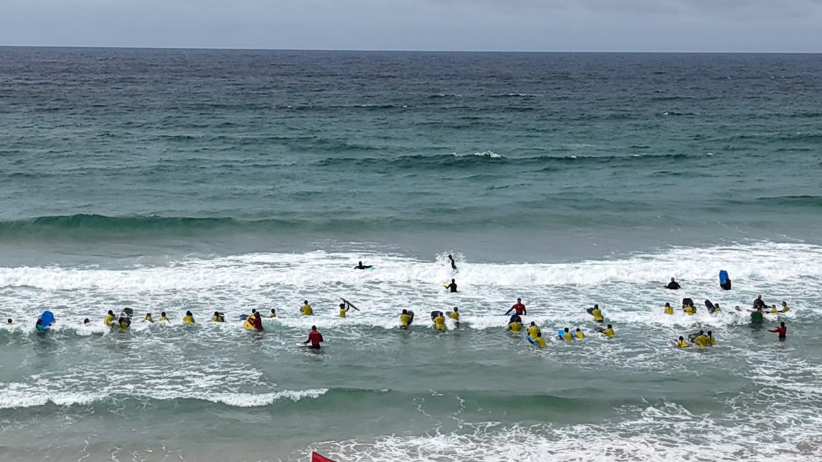 Woking High Sport (@wokinghighsport) on Twitter photo 