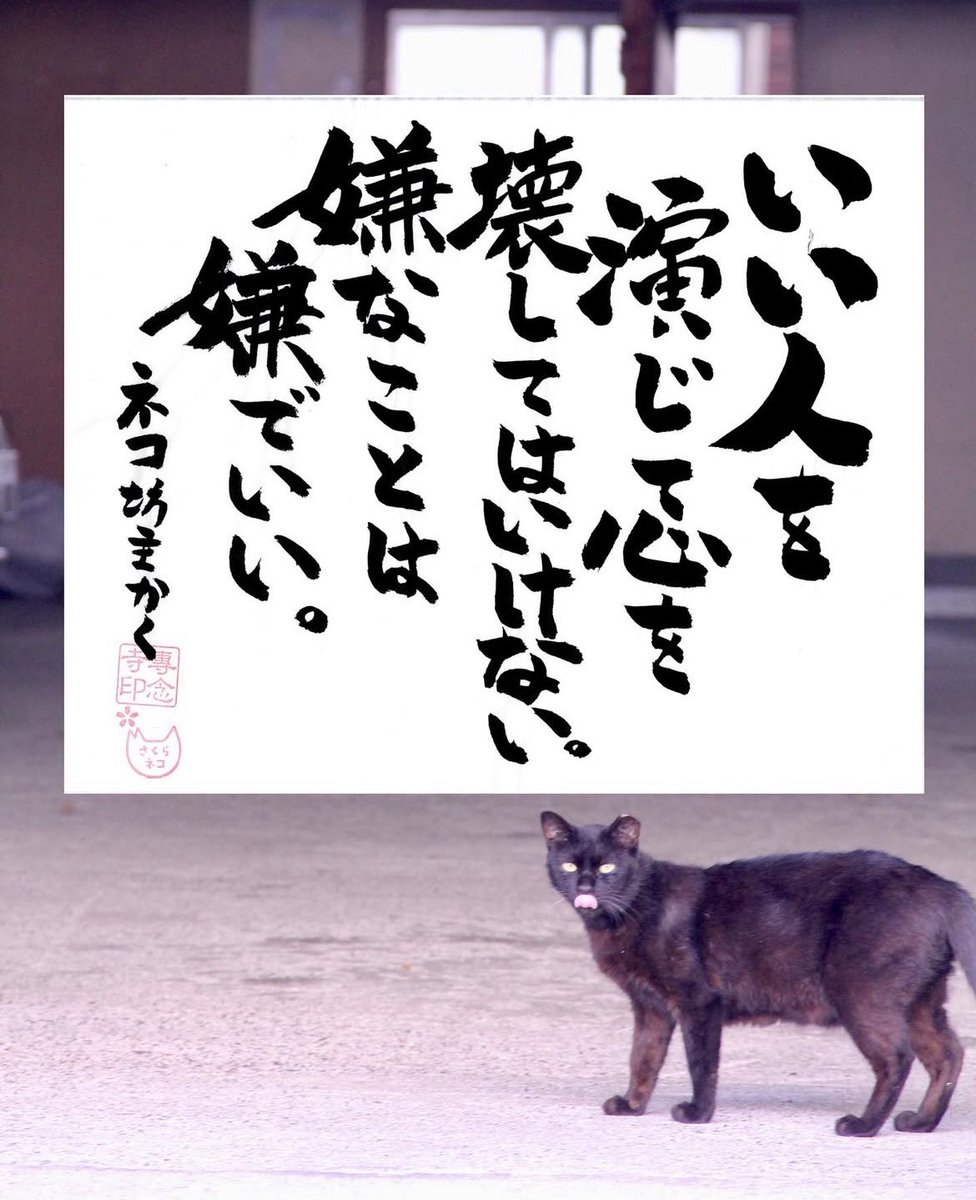 ネコさんから人間さんへ今日の一言