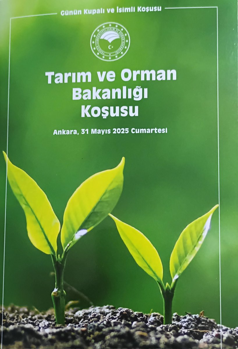 Keyifli seyirler, iyi şanslar. ❤️🧿
