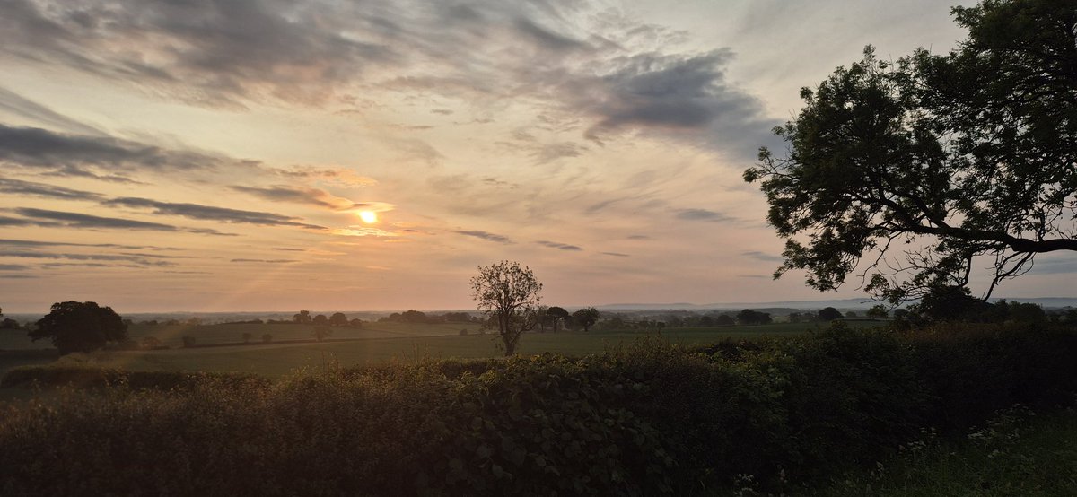 Anthony McGeeney tweet media