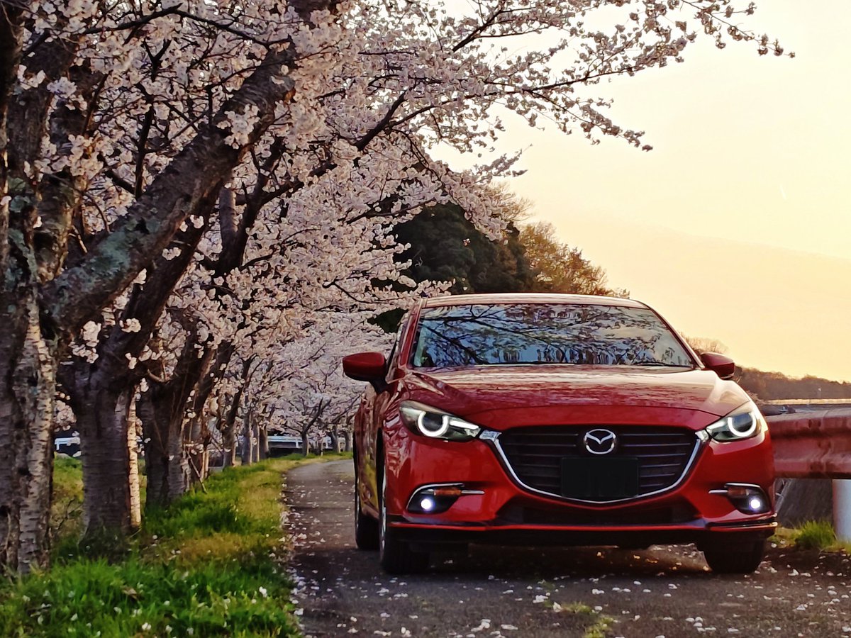 BM5FP_0619's tweet image. 神戸マツダフォトコンテスト最終日との事で。投稿しようとして、すっかり忘れてた…。

ドライブ中に見つけた撮影スポットにて。それほど遠くない場所だし、また来年撮りに行きたいな…。

#kobemazdaphoto
#km2025spring
#mazdagram
#kobemazdagram
#神戸マツダ
#フォトコンテスト