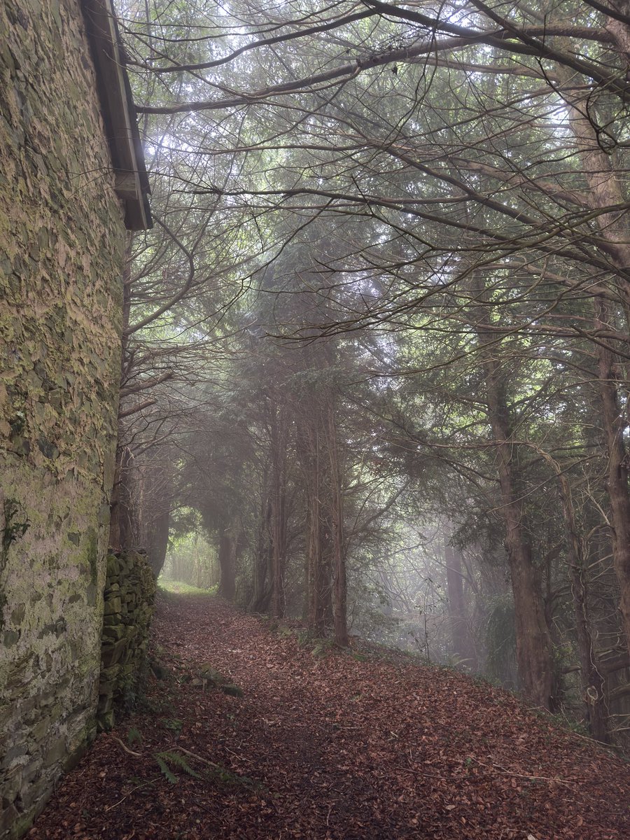 Os muestro lo que tengo ahora 
mismo delante. 

Asturias sin filtros.