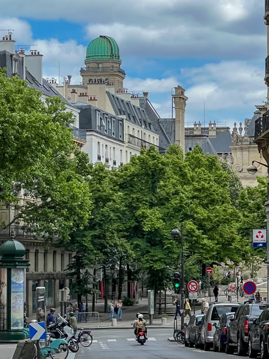 Paris (@paris_all_about) on Twitter photo The Astronomy Tower of the Sorbonne, as viewed from the intersection of rue Monsieur Le Prince and rue de Vaugirard.
π·<a href="/TomReevesParis/">Tom Reeves</a>
#streetsofparis #Paris #architecture #Travel The Astronomy Tower of the Sorbonne, as viewed from the intersection of rue Monsieur Le Prince and rue de Vaugirard.
π·<a href="/TomReevesParis/">Tom Reeves</a>
#streetsofparis #Paris #architecture #Travel
