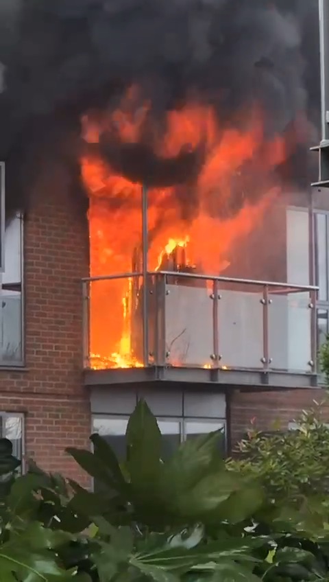 dannymcmahon's tweet image. Today, 1 year ago - we'd just lost our home, saw Keanu Reeves, and the Ryan Reynolds doc went live. All on one day