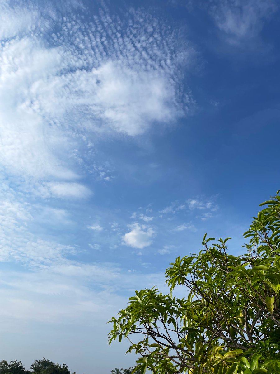 คิดถึงอีกแล้วอ่ะ … ขอ How to ให้หายคิดถึงที 
#Skywithblue 🌥️💙✨