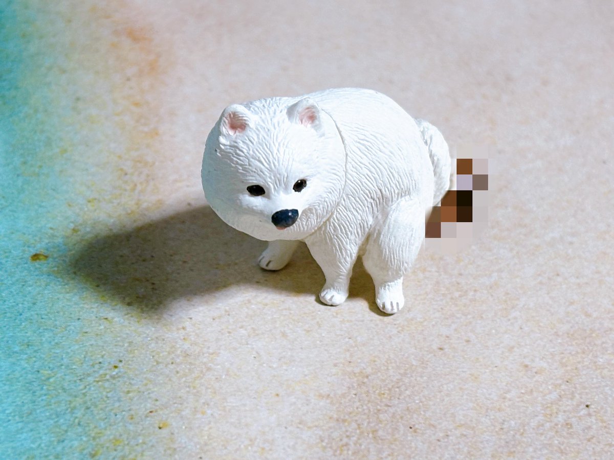 llfrl_eq's tweet photo. ふんばり〜ぬ🐶
セクシーポメラニアン https://t.co/MdFzNkbdXj