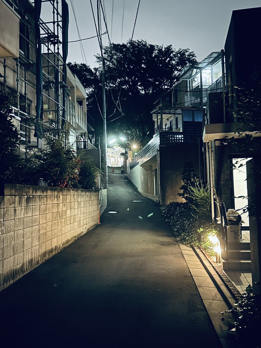 iiroji_bot's tweet image. 