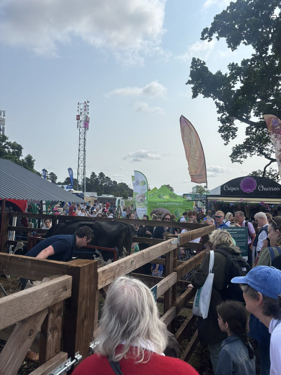 AgriAware's tweet photo. First milking of the morning has kicked off here @BordBiaBloom
Beverly is our resident dairy cow this weekend. She is from Dondale farm in Donadea!
#Bloom25 #AgriAware #Milking #Irishagriculture https://t.co/XLoVvbgM39