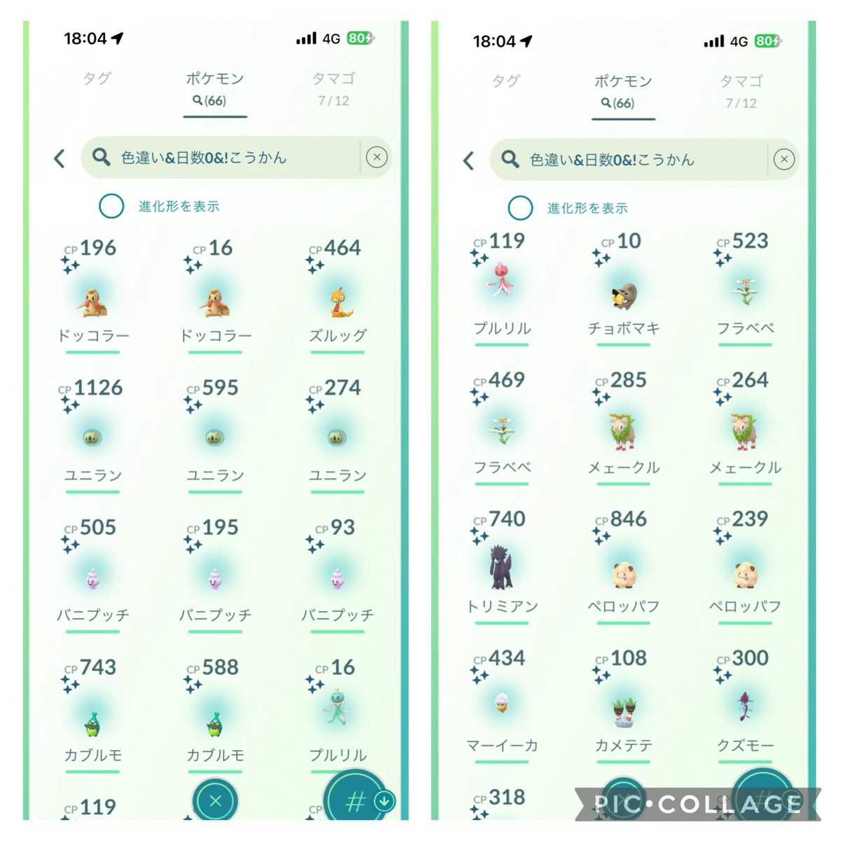 5月31(土)9時〜18時

個体値💯：48
色違い✨：66

3日目で色100が途切れる🥺
明日の最終日頑張ります‼️

本日もお疲れ様でした🤗

#ポケモンGO 
#ポケモンGOフェス大阪