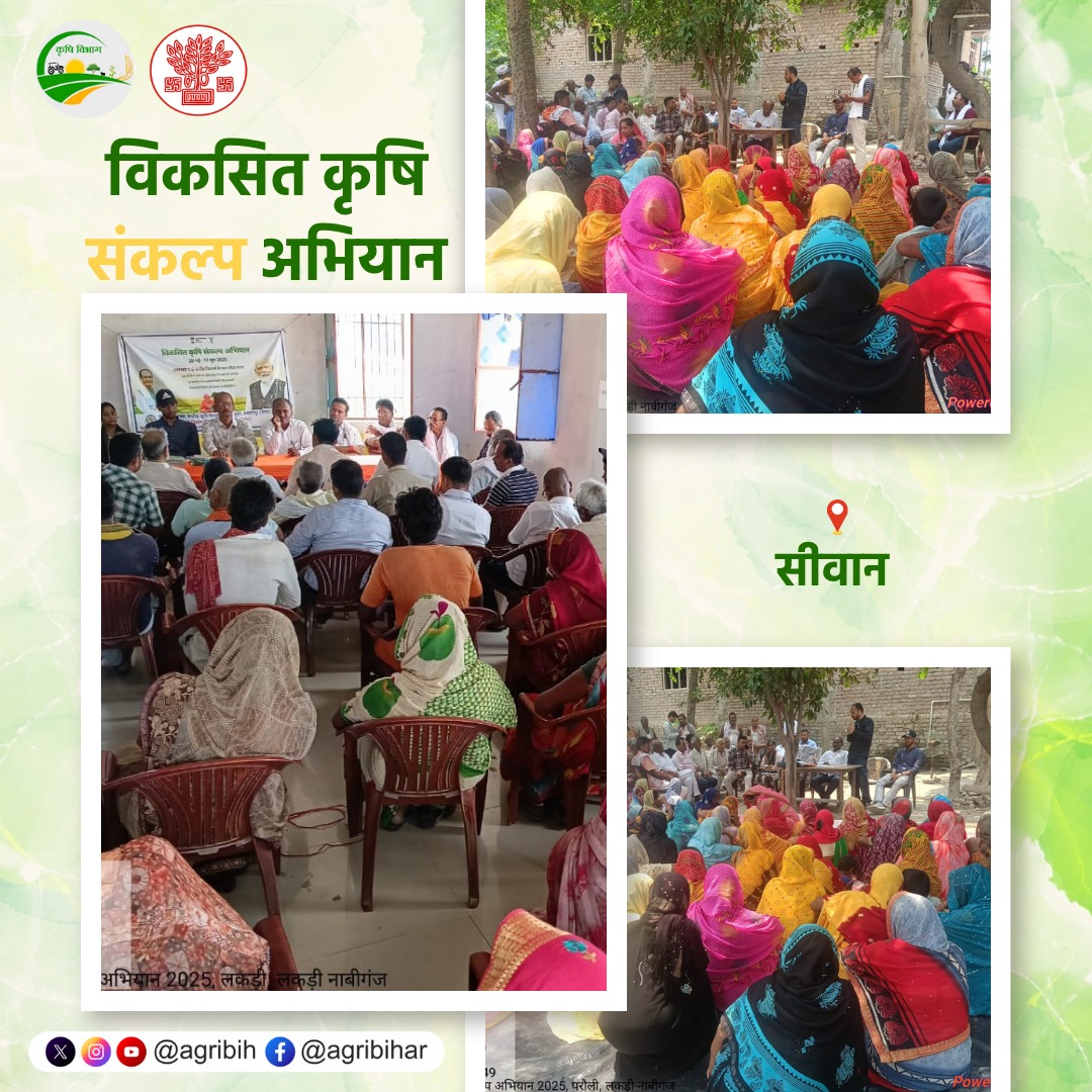 Agribih's tweet photo. #सिवान; #विकसित_कृषि_संकल्प_अभियान में किसानों को उन्नत कृषि तकनीकों, सतत खेती के उपायों और सरकार की विभिन्न लाभकारी योजनाओं की जानकारी प्रदान की। @VijayKrSinhaBih @ChouhanShivraj @SanjayAgarw_IAS @AgriGoI @icarindia @Official_Siwan @BametiBihar @IPRDBihar https://t.co/RN1pQwO7A2