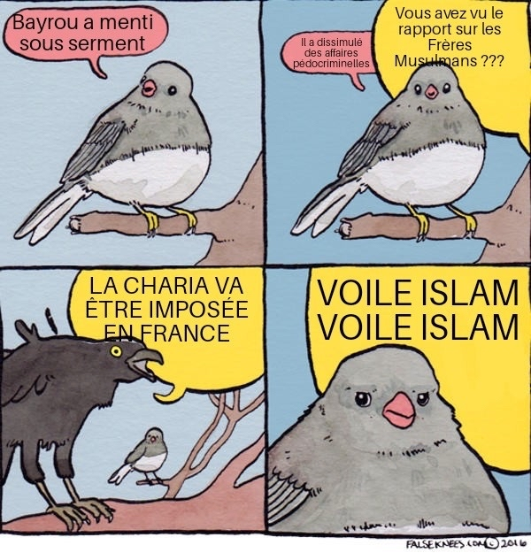 Comme d'habitude, on nous ressort les mêmes sujets claqués pour cacher un énimème scandale.