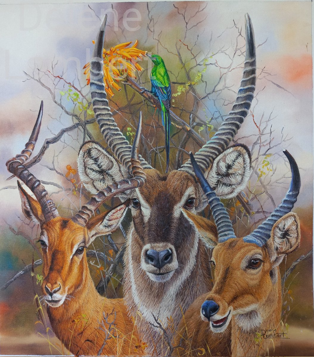 delene_lambert's tweet photo. AVAILABLE!! 'The Plains Game Series' a collection of 6 individual paintings of the African Plains animals measuring 45cm x 40cm (18" x 16") each by Delene Lambert. Please contact me on delambertart@gmail.com or whatsup +27 79 417 7562 or on messenger. https://t.co/wU4gQ8Rfcn