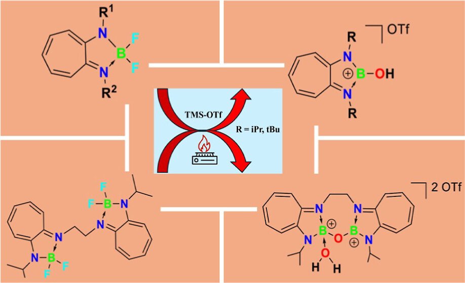 D. K. Roy Group tweet media