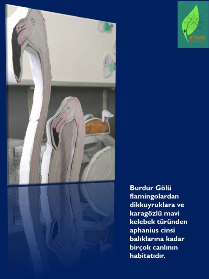 Bilimi sanatla buluşturup aynı zamanda çevre farkındalığı oluşturmak ve su kaynaklarını korumanın önemine dikkat çekmek için biyoağ'da hazırladığımız Burdur Gölü, kuşları ve diğer canlı türlerinin bulunduğu alanımız.