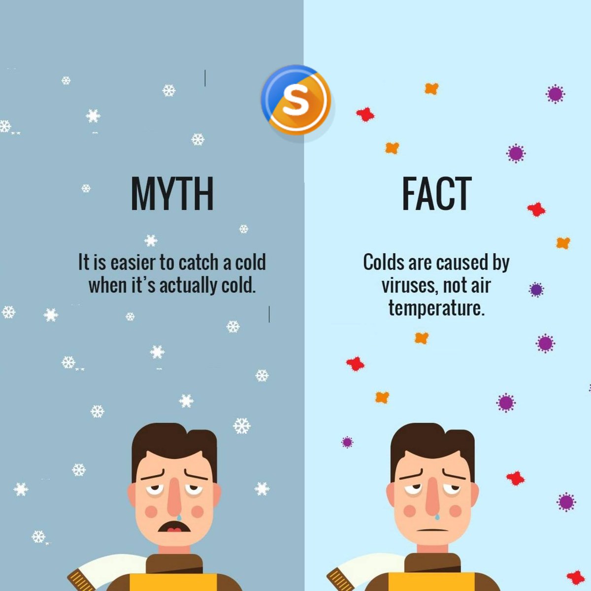 Essays_Experts1's tweet image. Let’s bust this common myth! Colds are caused by viruses — not cold air! 🦠❄️
essays-experts.com
#myths #facts #factoftheday #interestingfacts #student #exam #order #affiliate #health #cold #students #essays_experts