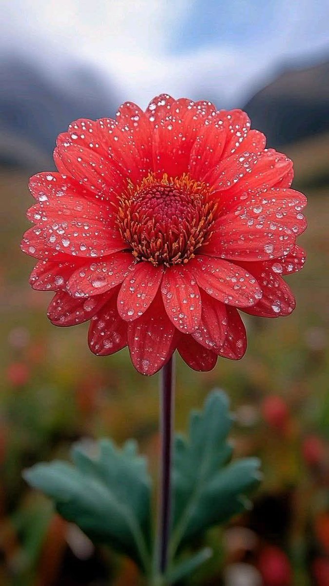 Sweet nature (@nature6260) on Twitter photo 