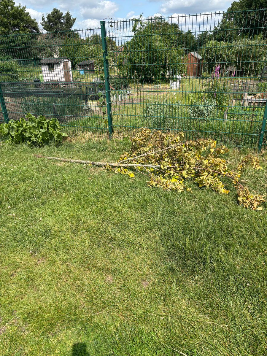 Lisa-Jane Moore tweet media