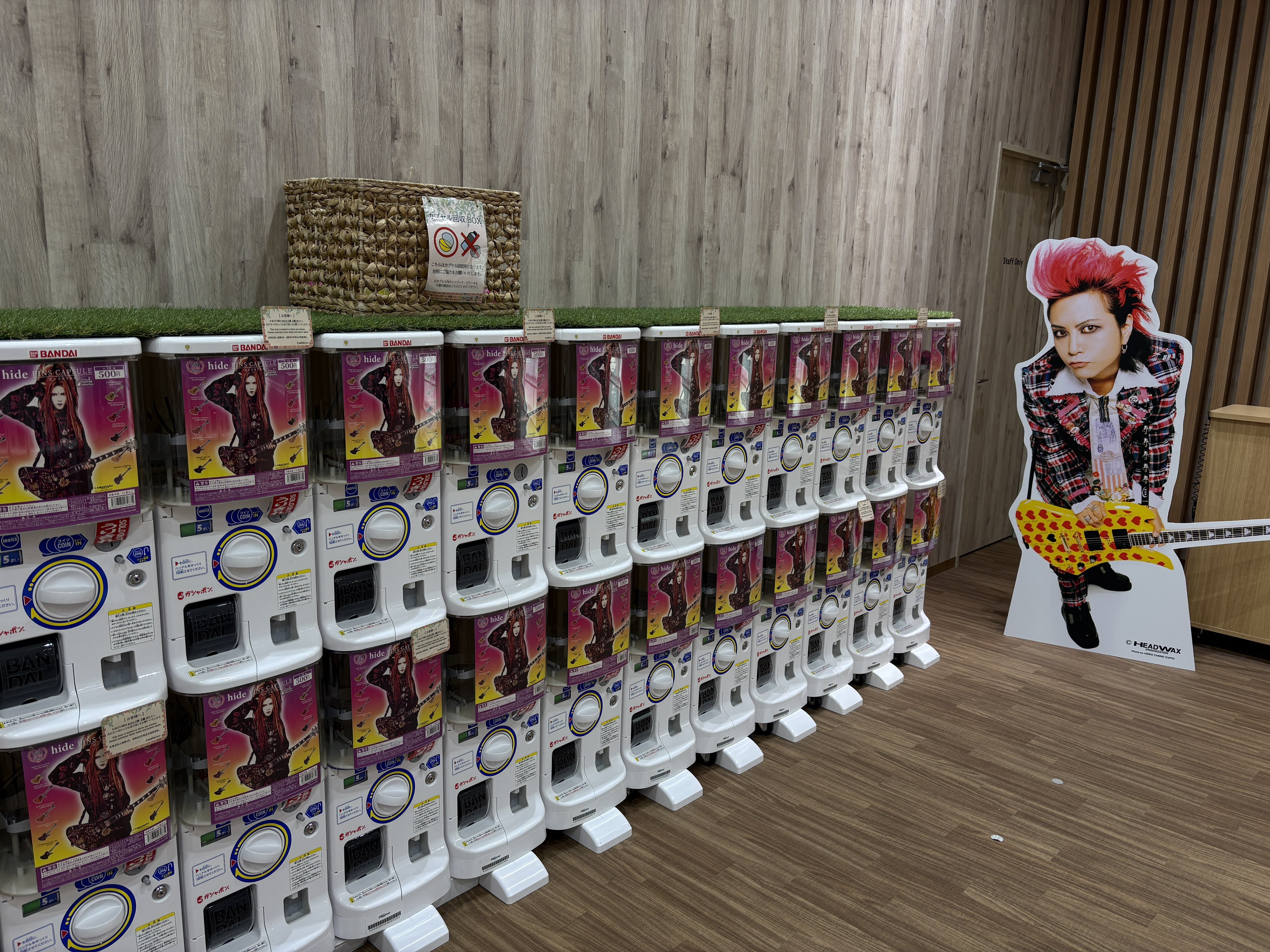 hideピンズカプセル - Search / X