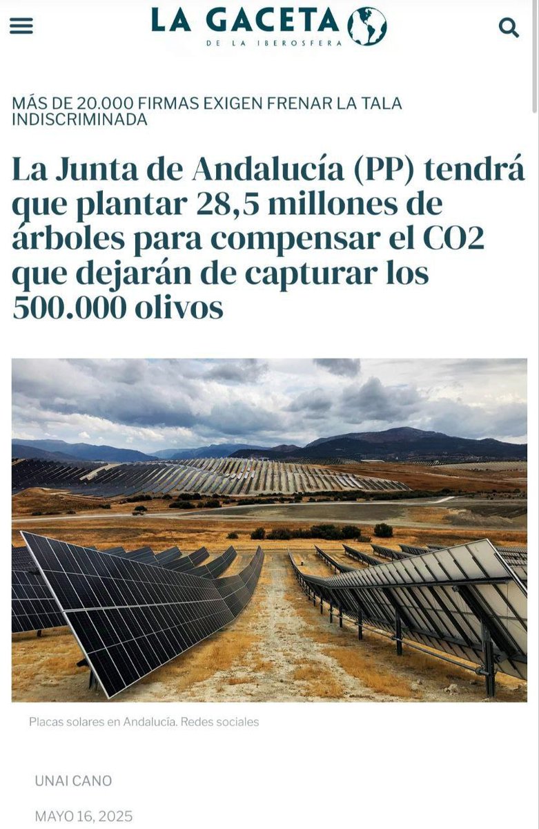Quitar olivos milenarios para poner placas solares, como si no hubiera otro sitio, y ahora plantar millones de árboles que seguramente no serán frutales, Una gestión que pasará a Los libros de historia como magistral.