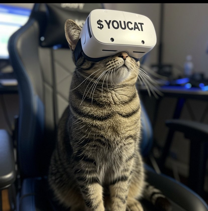 JovanEdmonds's tweet photo. @YouTubeGaming @Cr0c0d1 Would you post this cat on your main YouTube x channel it would literally make it go viral af. It would send this gaming community and crypto community out of space. 🚀🚀 @YouTubeGaming https://t.co/RwX55MJHDG