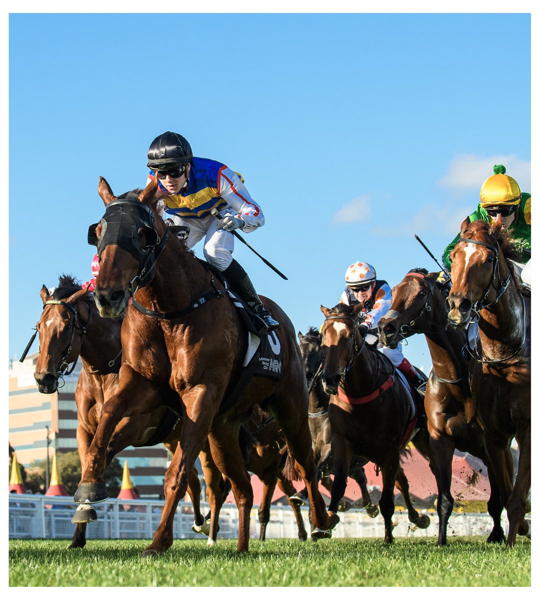 Tom Prebble brings up a winning double aboard Jimmy The Bear for <a href="/PMJPayneRacing/">PayneRacing</a> 🐎