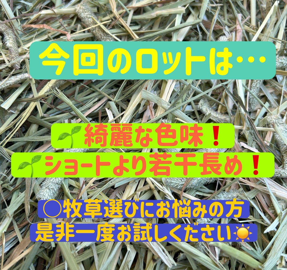 松畜 Animal Foods (@Animal_Foods) / X