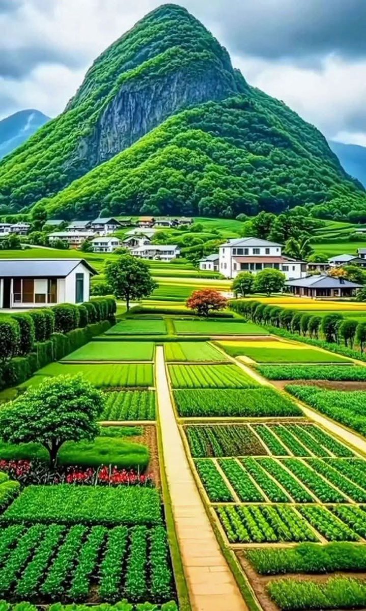 saima_zn's tweet photo. ابعتلي صورة حلوة 👇 https://t.co/LvKG5BqUrn