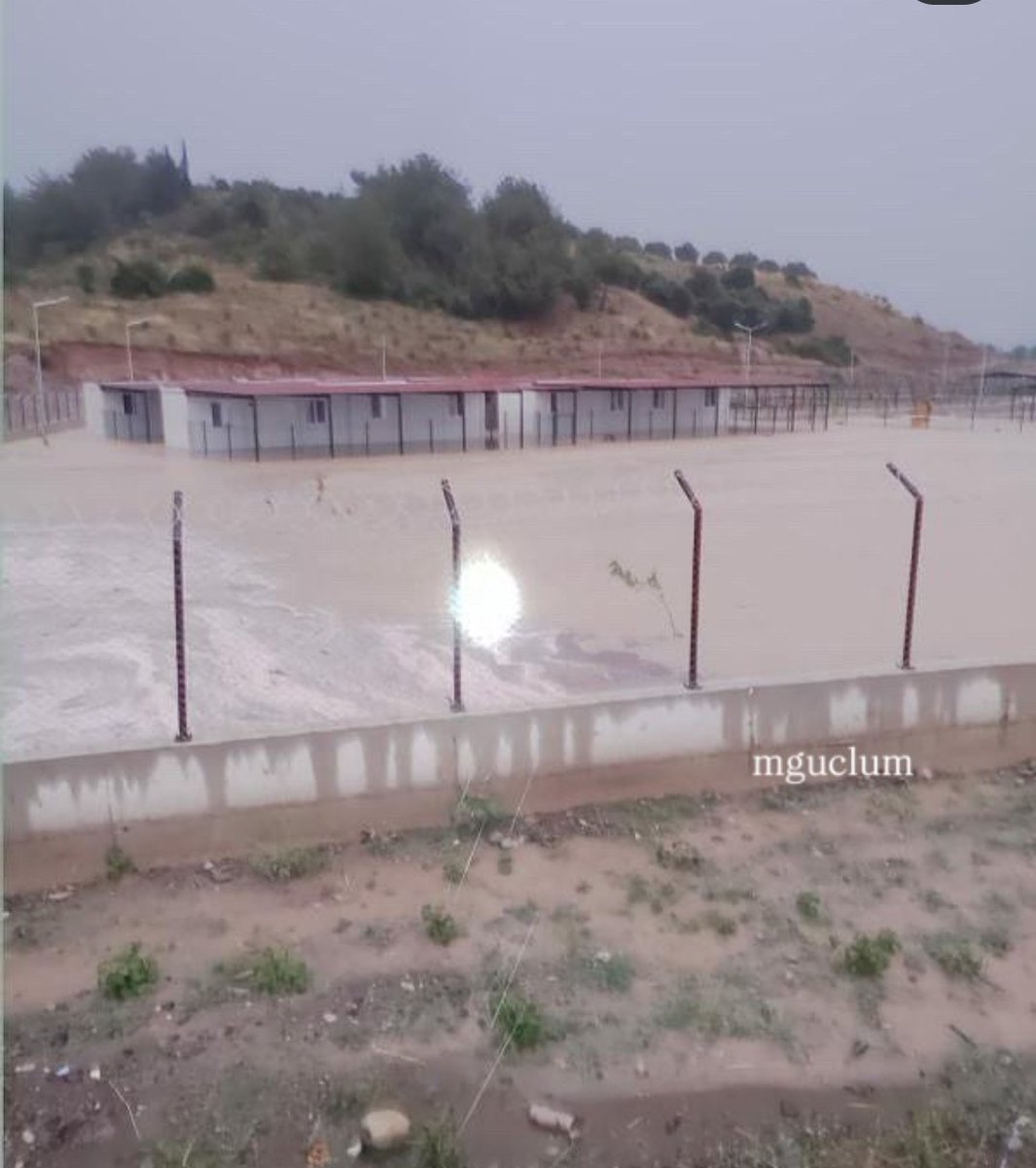 Gamze (@hasardam) on Twitter photo 📢Osmaniye il özel idaresine soruyoruz‼️
Dere yatağının dibine barınak yapmak ne akılla ,ne vicdanla ne de yönetmelikle açıklanabilir !
Barınak su altında kaldı
İçeride yavru köpekler vardı !
Şuan akıbetleri belli değil !
<a href="/OsmaniyeValilik/">TC Osmaniye Valiliği</a> <a href="/osmaniyebld/">Osmaniye Belediyesi</a> <a href="/osmaniyedkmp/">osmaniyedkmp</a> <a href="/TCTarim/">T.C. Tarım ve Orman Bakanlığı</a> 📢Osmaniye il özel idaresine soruyoruz‼️
Dere yatağının dibine barınak yapmak ne akılla ,ne vicdanla ne de yönetmelikle açıklanabilir !
Barınak su altında kaldı
İçeride yavru köpekler vardı !
Şuan akıbetleri belli değil !
<a href="/OsmaniyeValilik/">TC Osmaniye Valiliği</a> <a href="/osmaniyebld/">Osmaniye Belediyesi</a> <a href="/osmaniyedkmp/">osmaniyedkmp</a> <a href="/TCTarim/">T.C. Tarım ve Orman Bakanlığı</a>