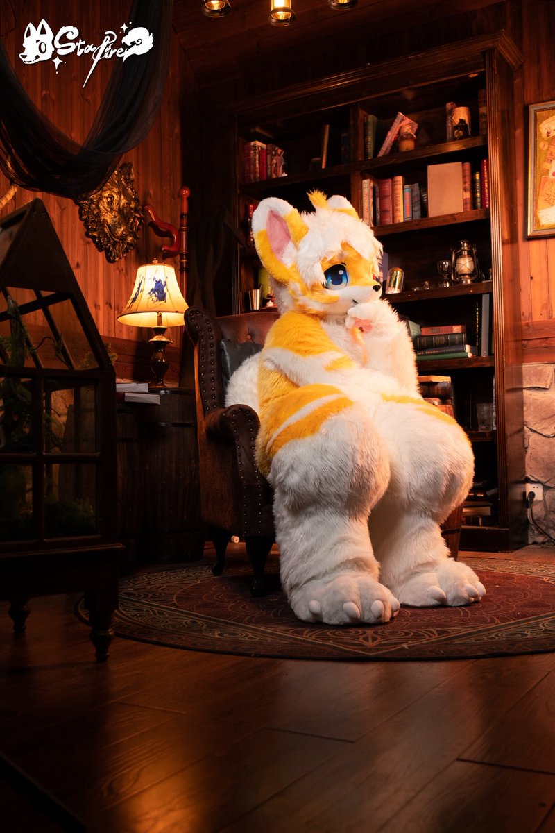 StarFire艺术照✦金仔

台灯散发着暖黄的光芒，在墙角书架上晕开光晕。金仔的指尖拂过烫金书脊，他耳尖微动，湛蓝的眼瞳倒映着悬浮在书脊间的发光符文——那些从烫金纹路里渗出的墨迹，正与脚下地毯的繁复花纹悄然共鸣。

--------------------
StarFire奇幻工坊

#Furry #Fursuit #StarFire奇幻工坊