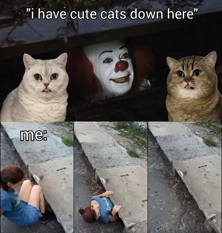 catshealdeprsn's tweet image. So easy to kidnap me 🥹😂