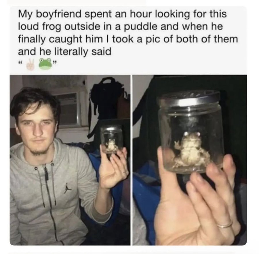 Respectful Memes (@respectfulmemes) on Twitter photo 