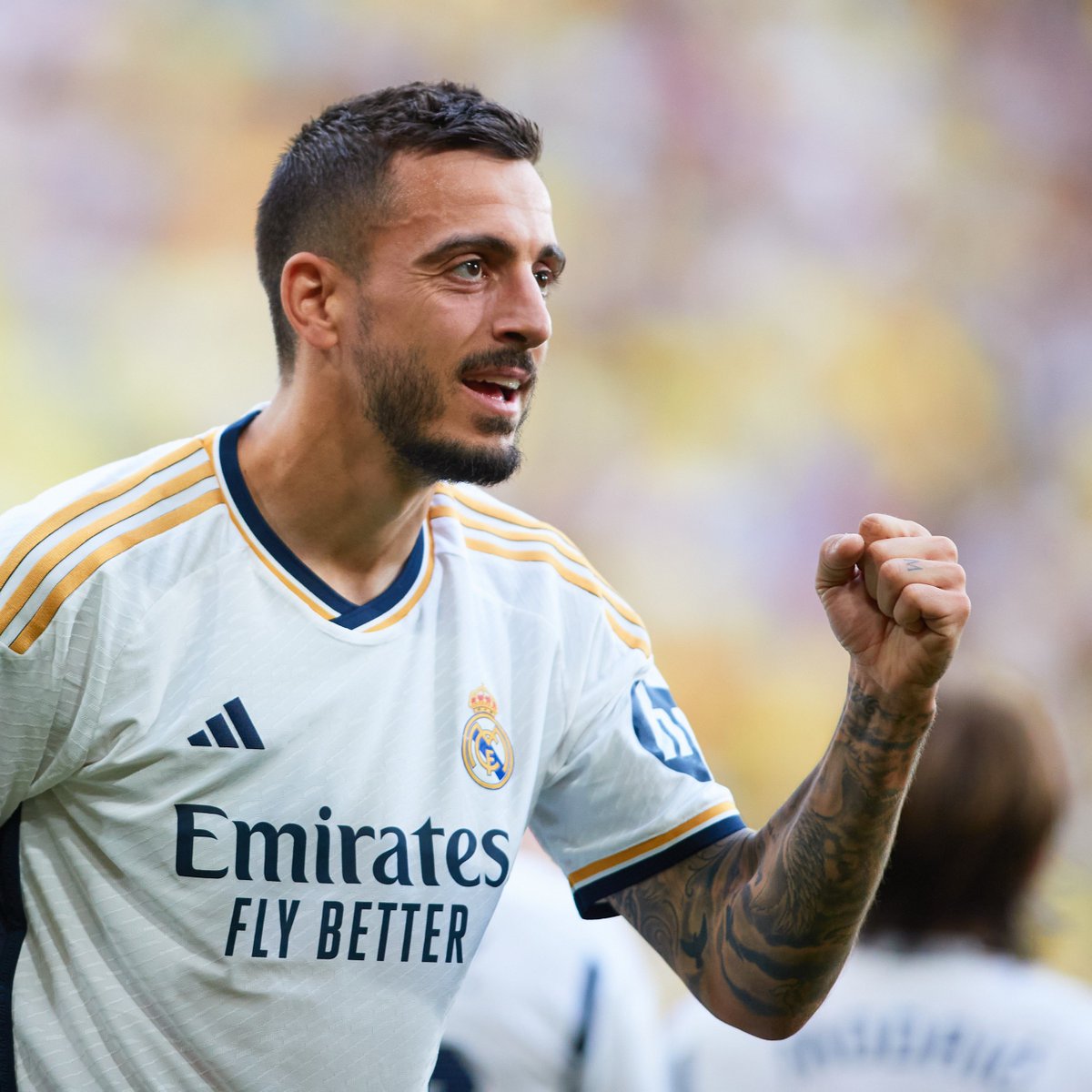 محمود tweet media