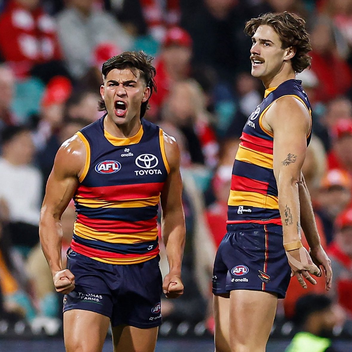 Crowject's tweet photo. HALF TIME
CROM 12.3.75
SWOM 1.4.10
STICK A FORK IN ME IM DONE THIS IS AMAZING I LOVE YOUS ALL
#weflyasone #gocrom #gocrows #crowject #aflswanscrows https://t.co/FiUdf9g1UH